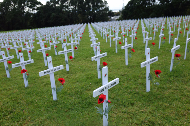 2016 Auckland Field of Remembrance